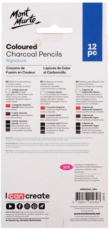 Farbiges Kohlestifte Set - 12 Stück in verschiedenen Farben